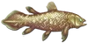 Fish 20