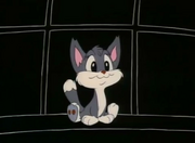 Rita kitten