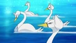 EP718 Swanna