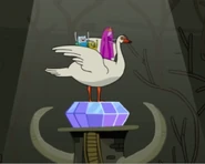 Swan on Crystal Eye