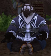 Chen Stormstout in VFW