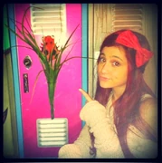 Cat's Locker