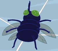 Fly Web Weirdos