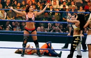 Backlash 2008.38