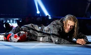 Backlash 2008.47a