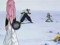 Dbz245(for dbzf.ten.lt) 20120418-17233108