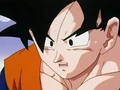Dbz245(for dbzf.ten.lt) 20120418-17240327