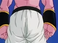 Dbz245(for dbzf.ten.lt) 20120418-17254204