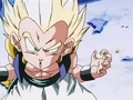 Dbz245(for dbzf.ten.lt) 20120418-17265215