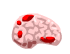 OhMyGodBrains.png (2 KB) OhMyGodBrains