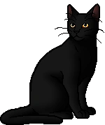Nightfur.warrior