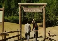 Muir Woods.jpg