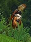 HozenMudflinger