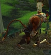 Yoggtord