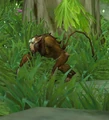 EnragedHozen.jpg