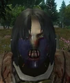 Fierce Faceplate.jpg
