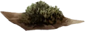 Orties séchées.png