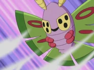 Jessie Dustox Whirlwind