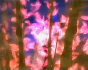 Genjutsu shinrikou
