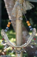 Palau Necklace