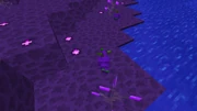 Taint-grub-husks