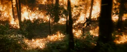 FireKatniss