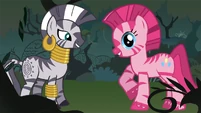 Zecora x Pinkie Pie