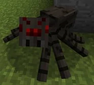 Spider