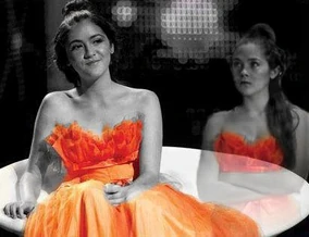 Clove image!