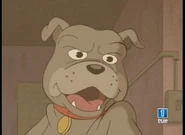 Fu Dog