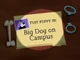 Big Dog On Campus Title Card