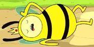 Bee Princess fainted