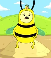 Bee Princess interviewed