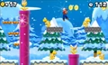 NSMB2 Screenshot 3