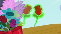 Flower S2E26