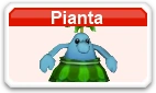 Pianta MSMWU