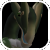 JamarilaMini.png (4 KB) JamarilaMini