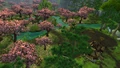 Arboretum.jpg