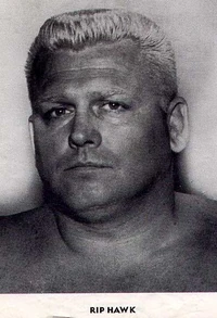 Hawk rip