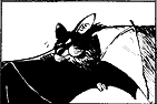 Calvin the Bat.png