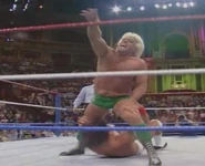 Battle Royal 1991.8