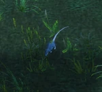 BlackRatWP