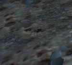 SpiderWP