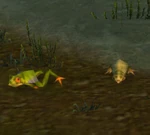 SmallFrogWP