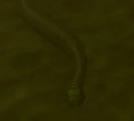 WaterSnakeWP