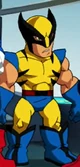Wolverine SHS