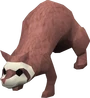 Ferret of doom