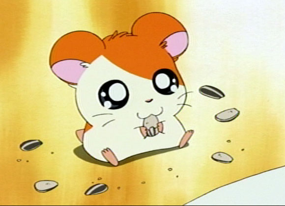 Hamtaro on Pinterest  Hamsters, Kawaii and Anime