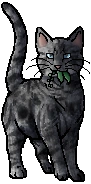 Jayfeather