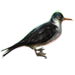 Item manxshearwater 01.png